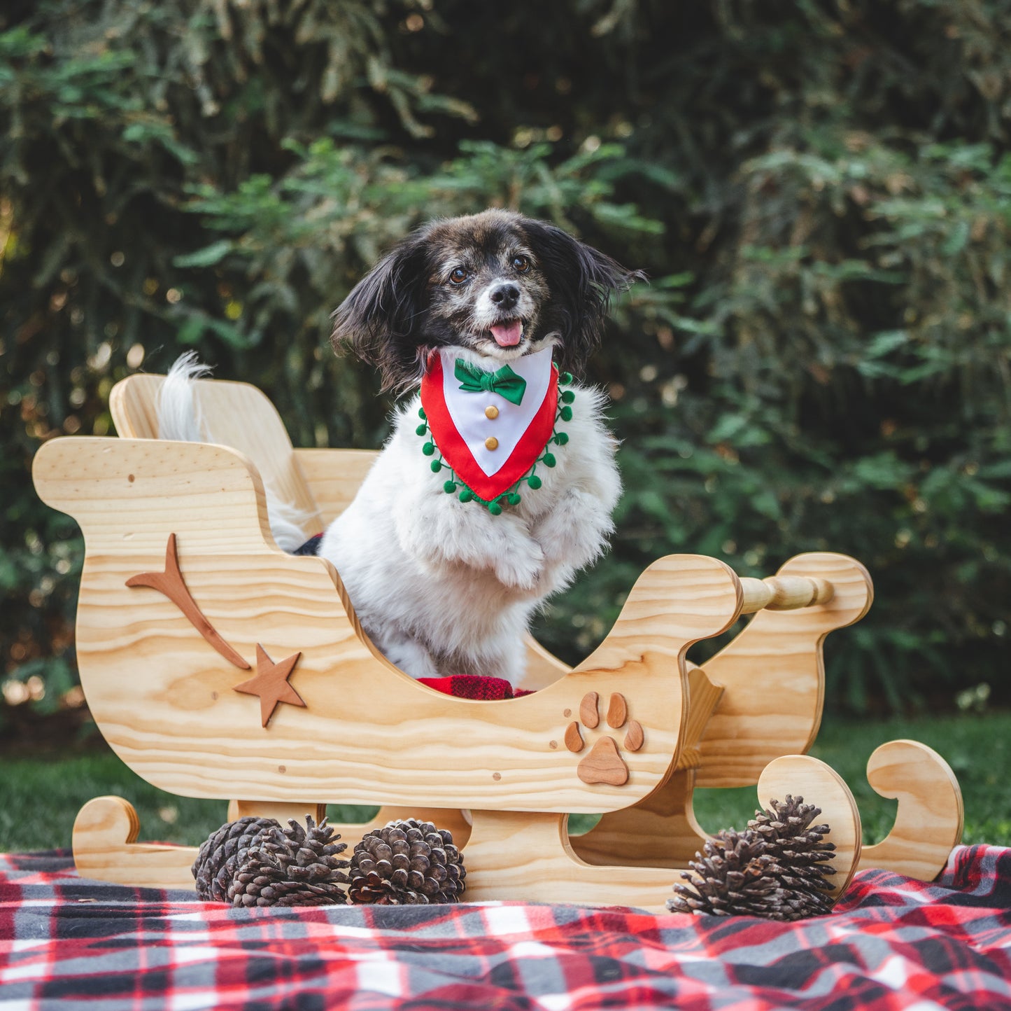 Bandana de navidad para perros con lazo verde de Mister And Misses Pet