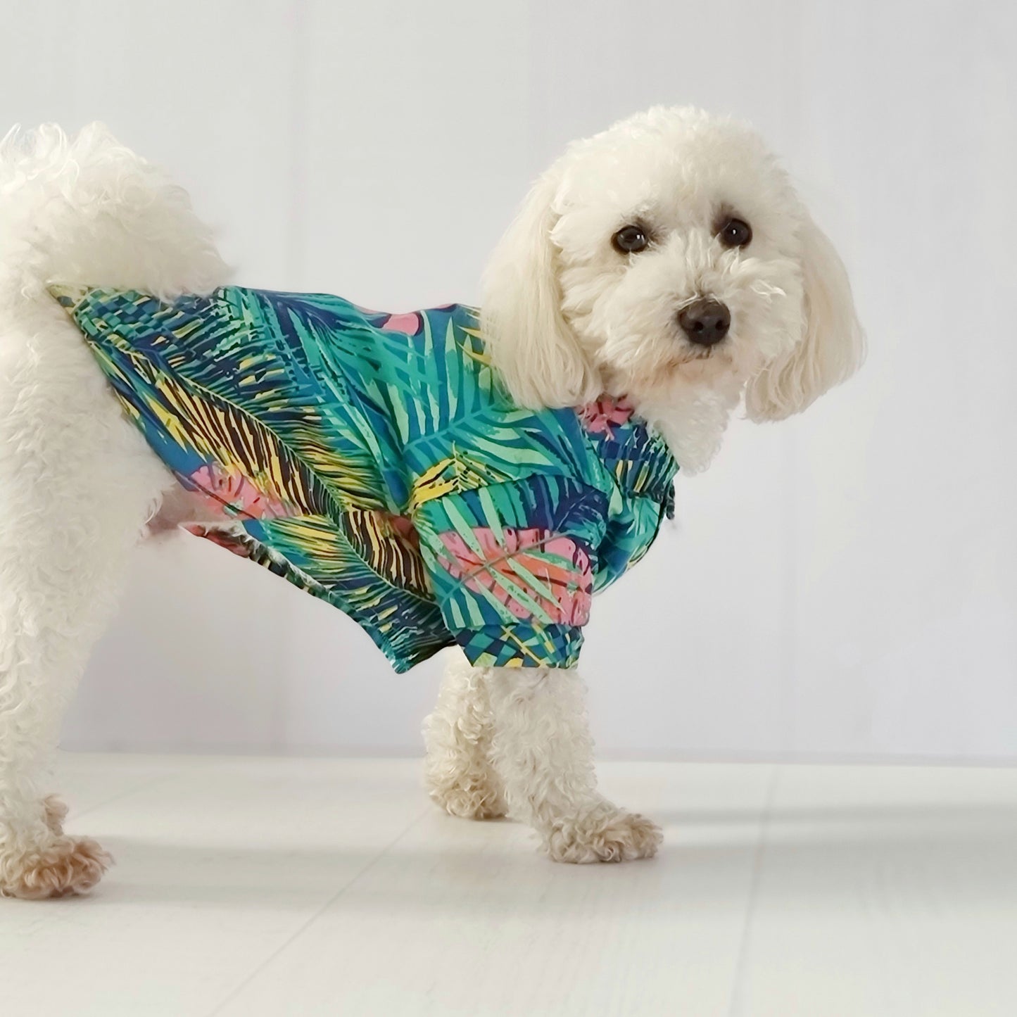 Camisa para perro estampada verde de Mister And Misses Pet. Con broche en la parte frontal
