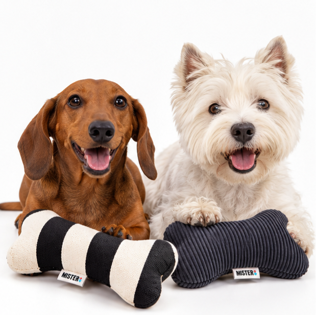 PACK DE JUGUETE PARA PERRO CLASICO