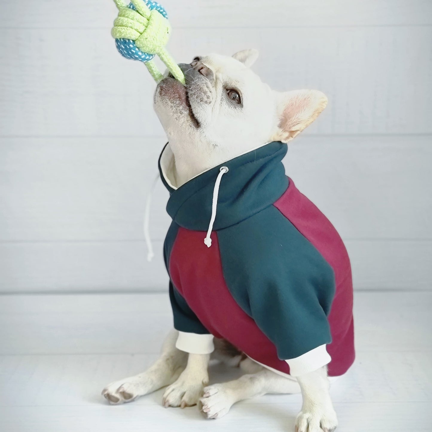 Poleron para perro Old School de Mister and Misses Pet