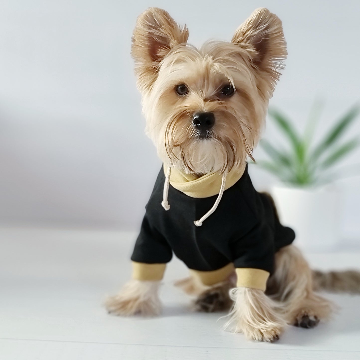 Polerón para perro cuello alto beige de Mister And Misses Pet