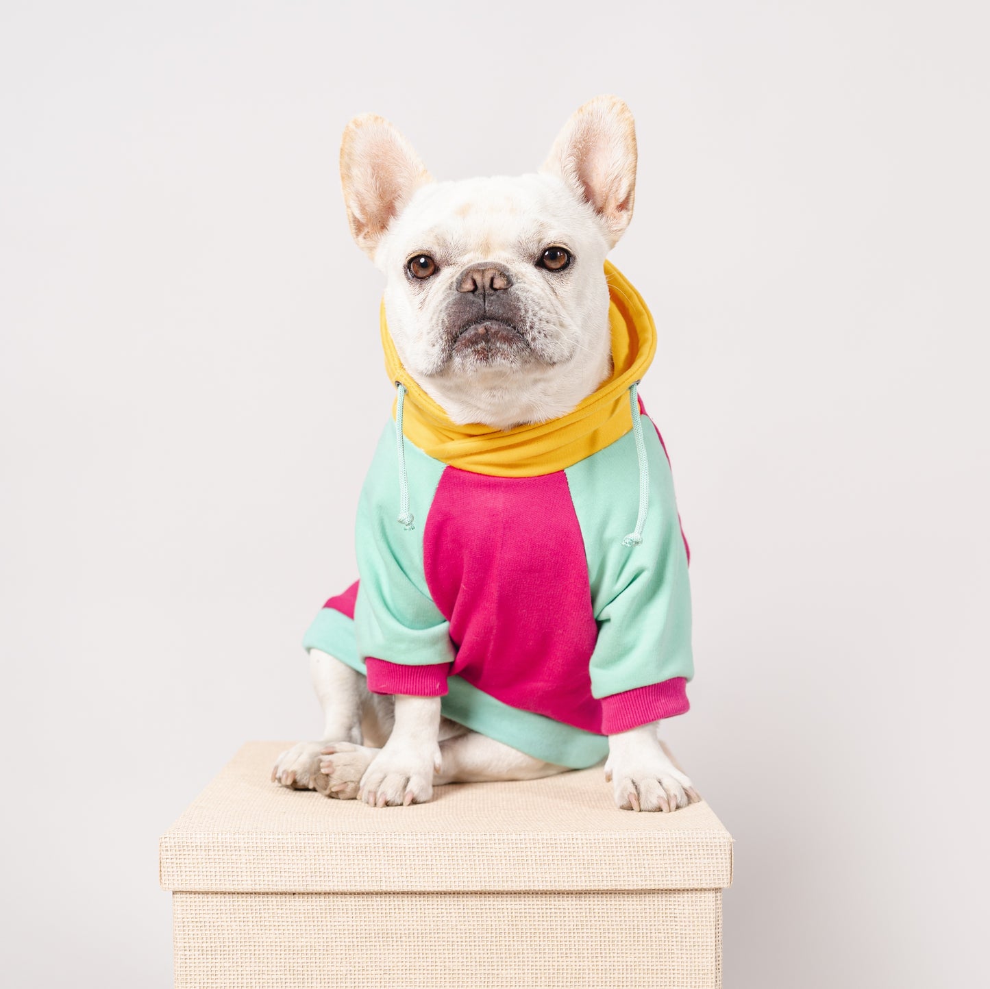 Polerón para perro cuello alto amarillo de Mister And Mister pet