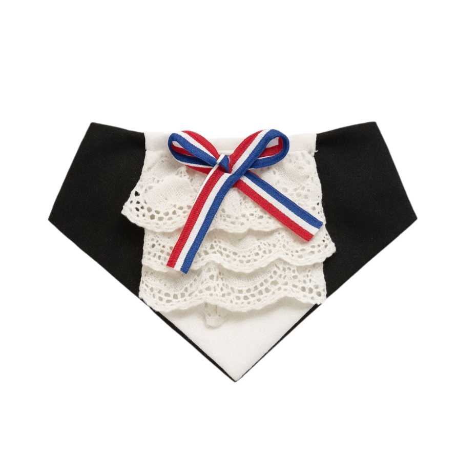 BANDANA MASCOTA HUASA SALON