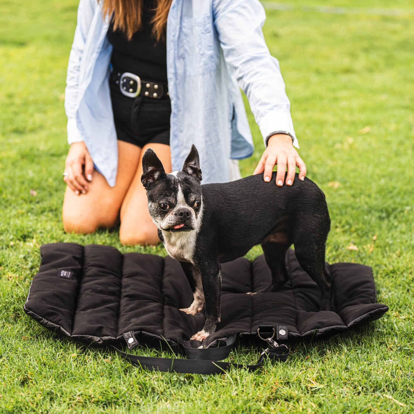 Cama portátil para perro, se transforma en cartera de fácil traslado de la marca Mister And Misses Pet
