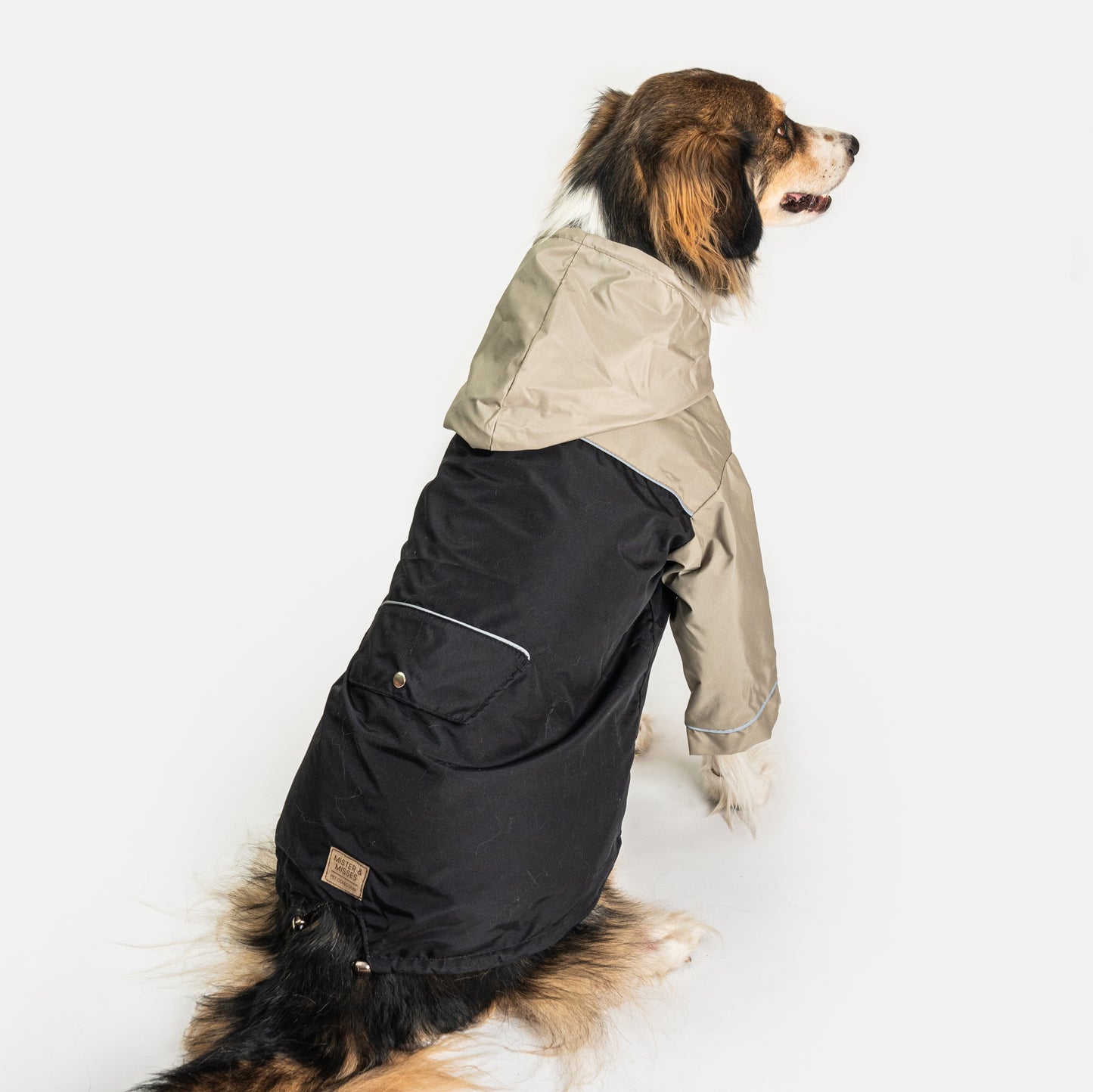 Cortaviento e impermeable para perro, Color beige y negro de la colección de MIster And Misses Pet