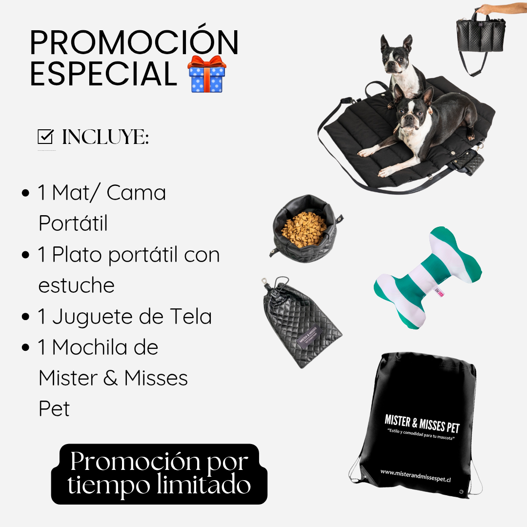 IDEAL PARA LA MAMÁ DOGLOVER + KIT DE REGALO