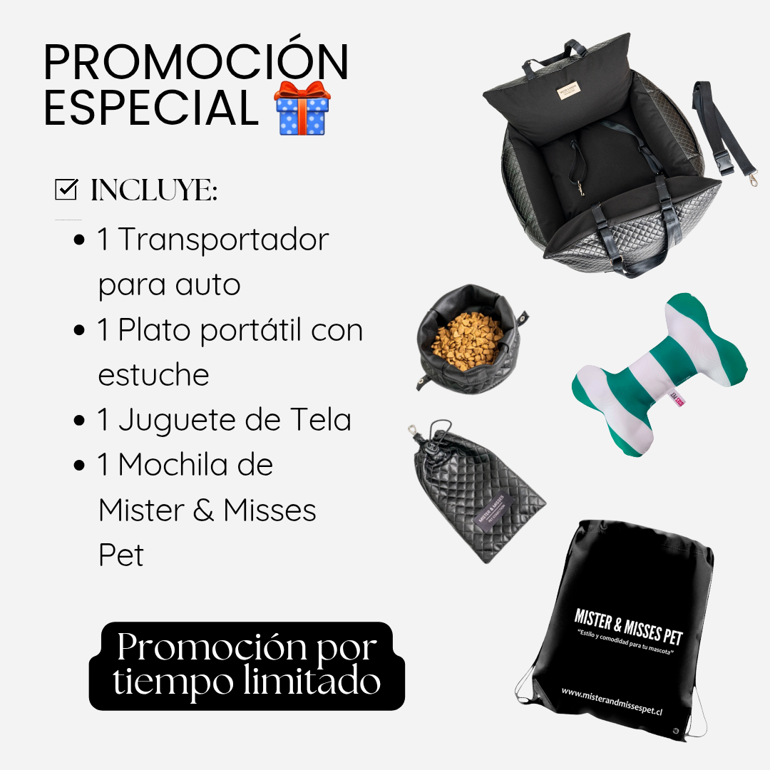 TRANSPORTADOR DE AUTOS PARA PERROS + KIT DE REGALO