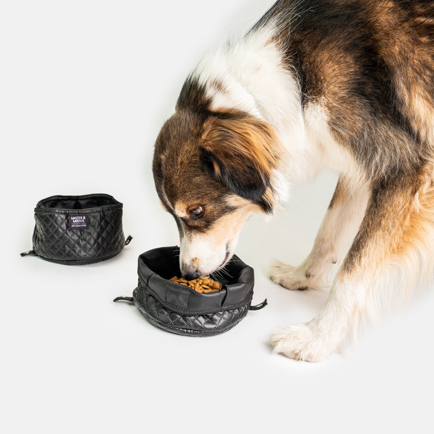 Plato portátil para perro color negro de Mister And Misses Pet