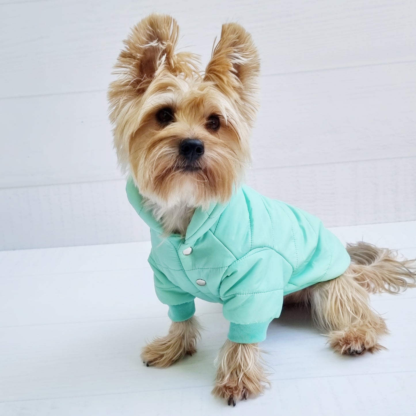Parka para perro color menta Mister And MIsses Pet Chile