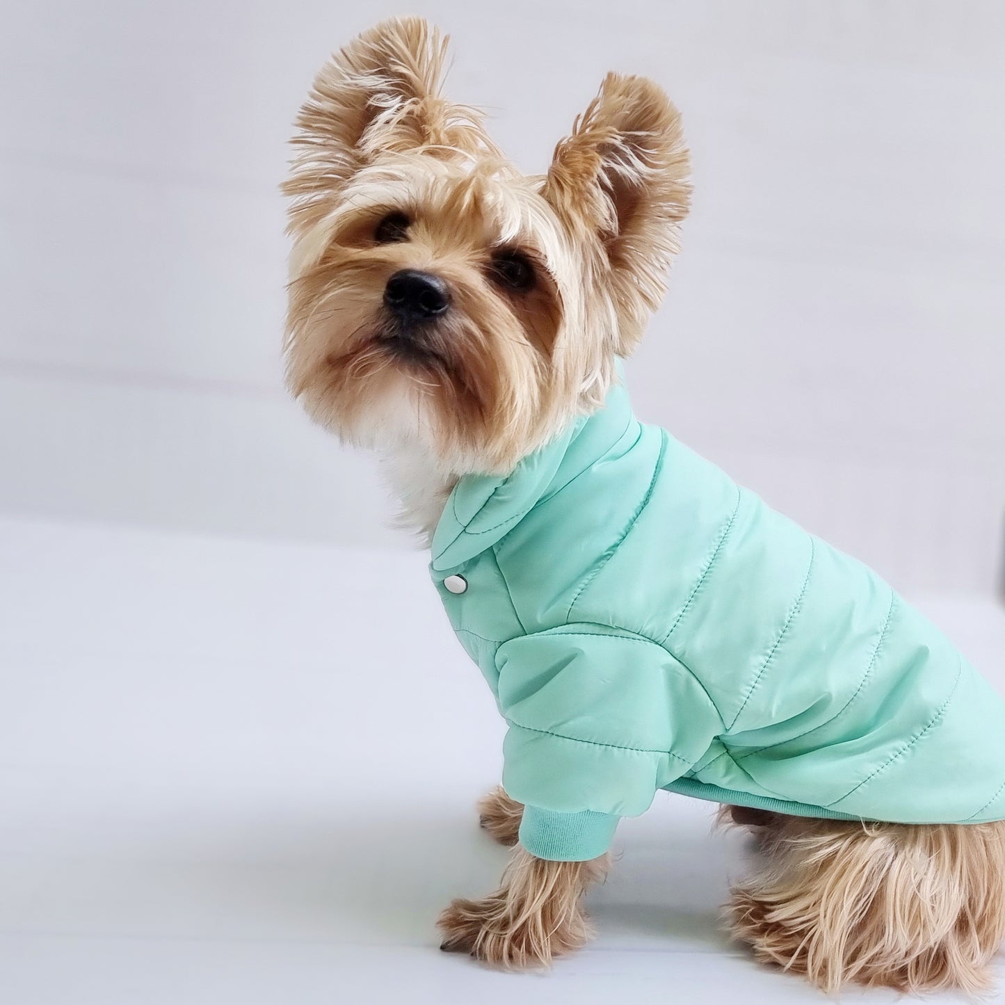 Parka para perro color menta Mister And MIsses Pet Chile