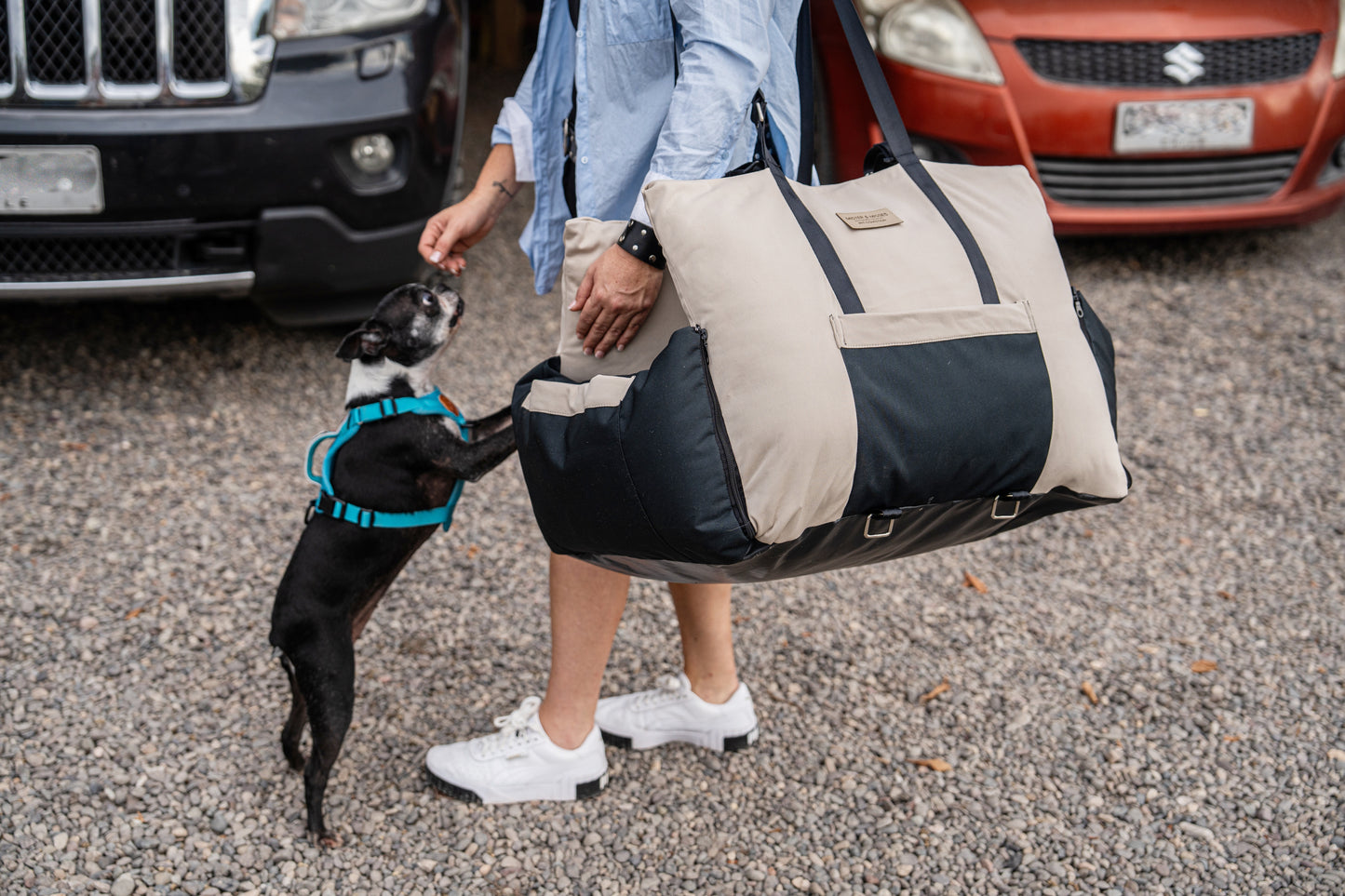 Transportador de auto para perros de Mister And Misses Pet
