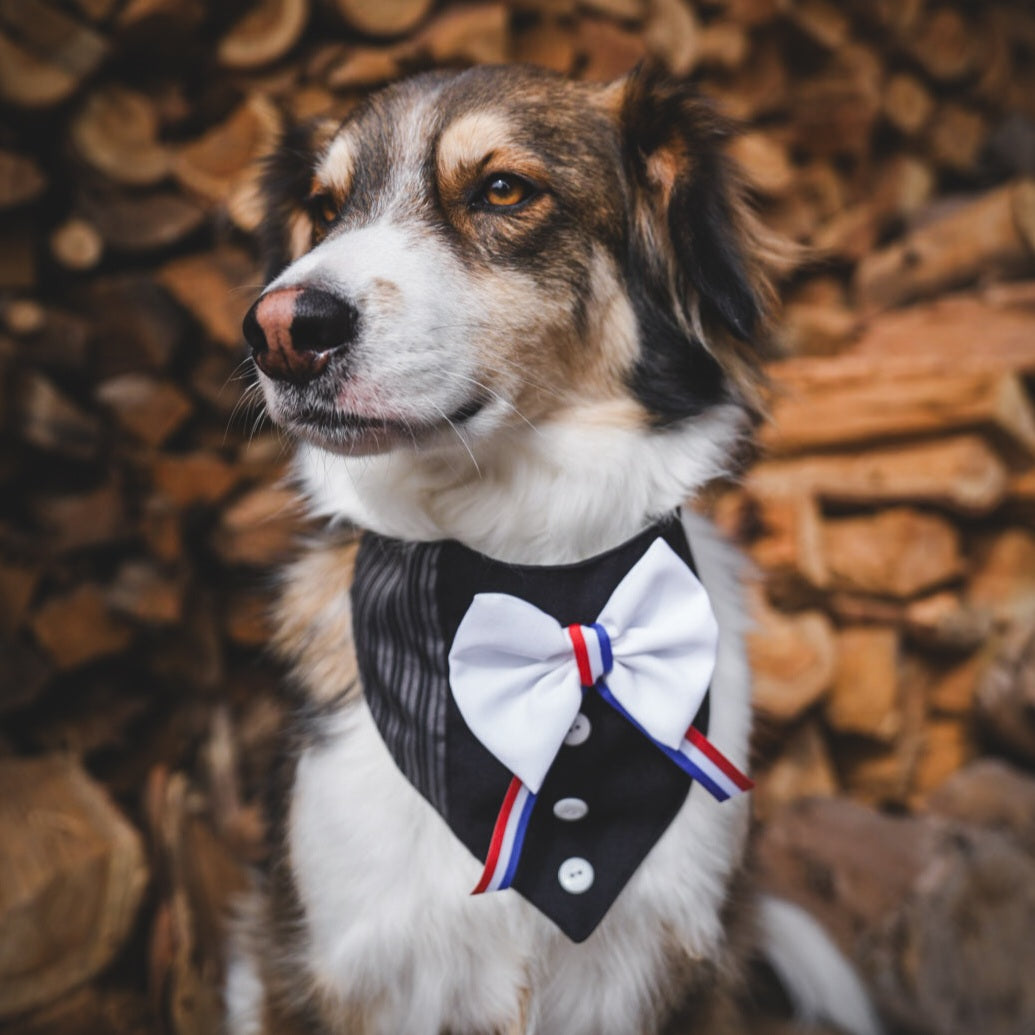 BANDANA PARA MASCOTA FIESTAS PATRIAS HUASO