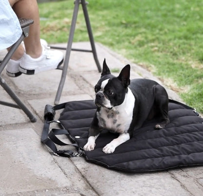Cama portátil para perro, se transforma en cartera de fácil traslado de la marca Mister And Misses Pet 