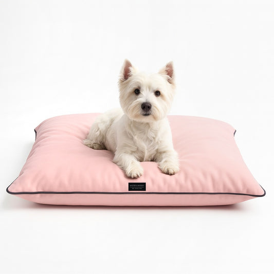 CAMA PARA PERRO + JUGUETE