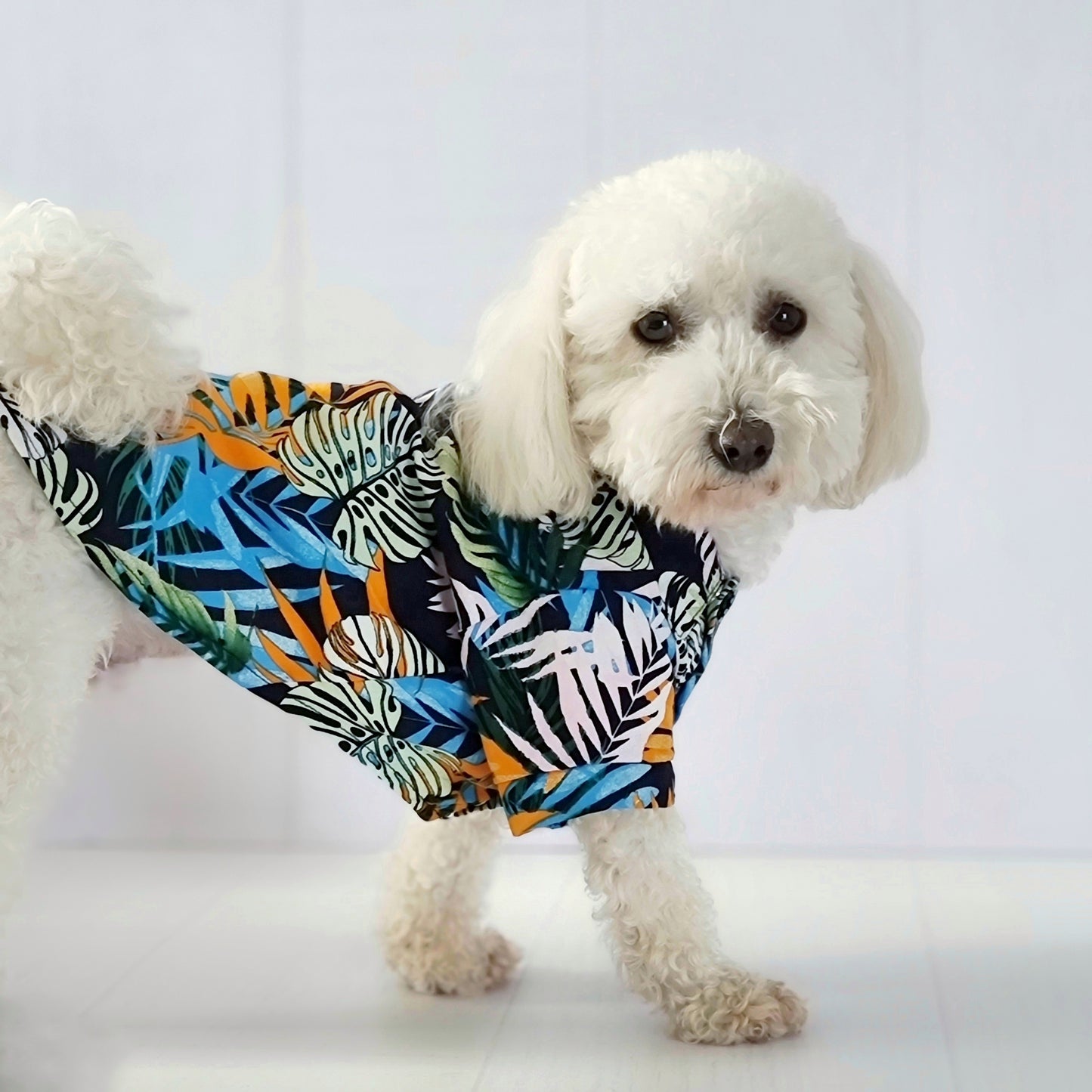 Camisa para perro estampada en colores tropicales de Mister And Misses Pet con broches en la parte frontal