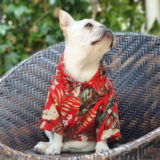 Camisa para perro estampada tropical en color rojo de Mister And Misses Pet. Con broches en la parte frontal