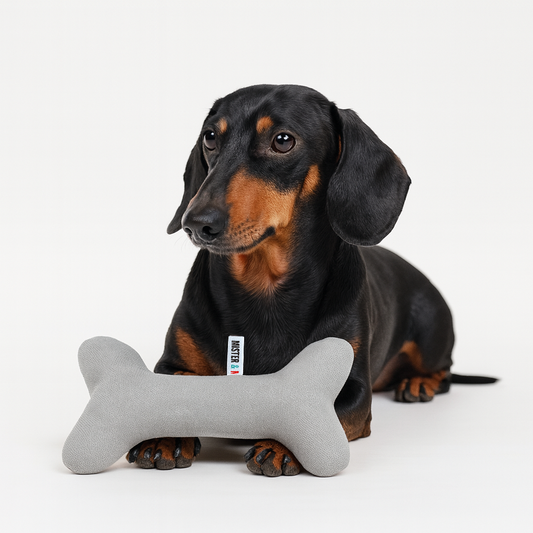 Juguete de tela mister and misses pet 