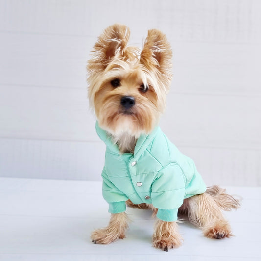 Parka para perro color menta Mister And MIsses Pet Chile 