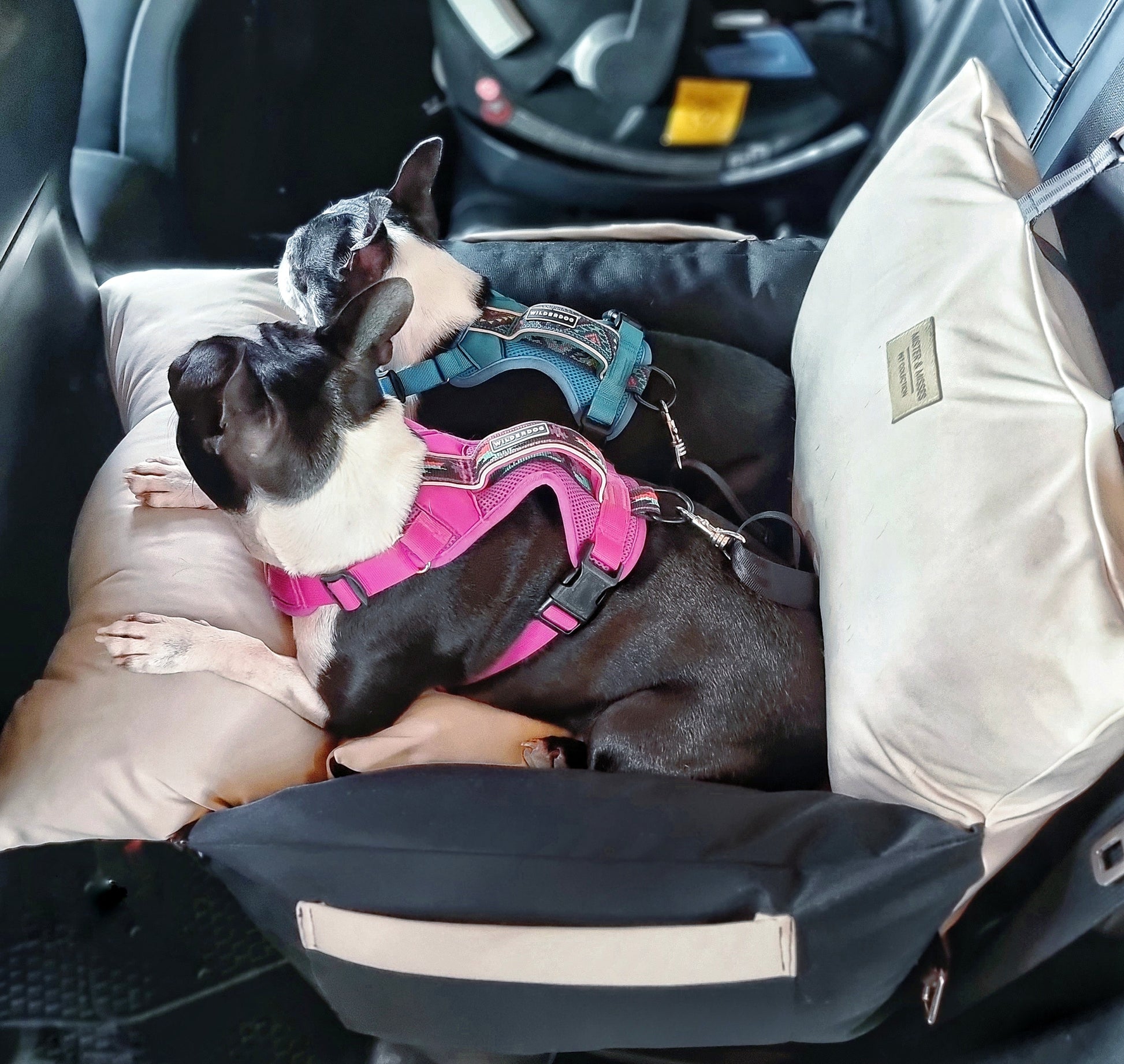 Transportador de auto para perros de Mister And Misses Pet 