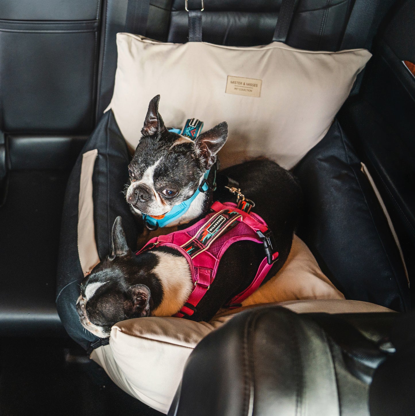 Transportador de auto para perros de Mister And Misses Pet 