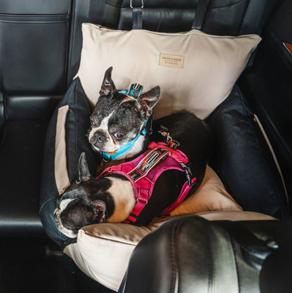 Transportador de auto para perros de Mister And Misses Pet 