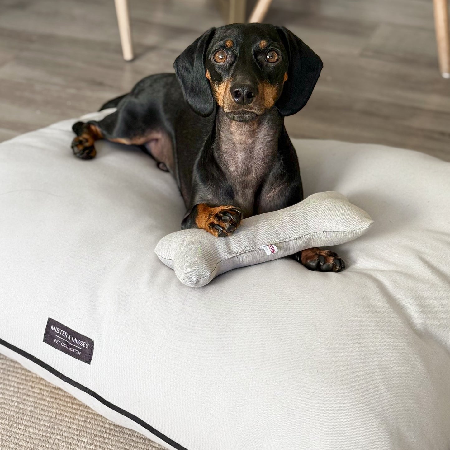 CAMA PARA PERRO GREY + ENVIO GRATIS