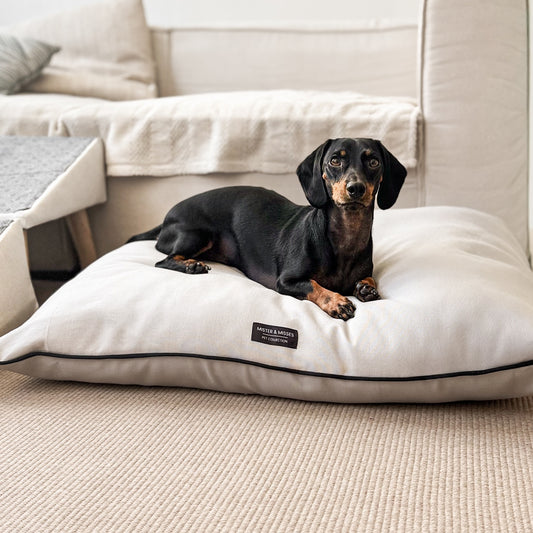 CAMA PARA PERRO GREY + ENVIO GRATIS