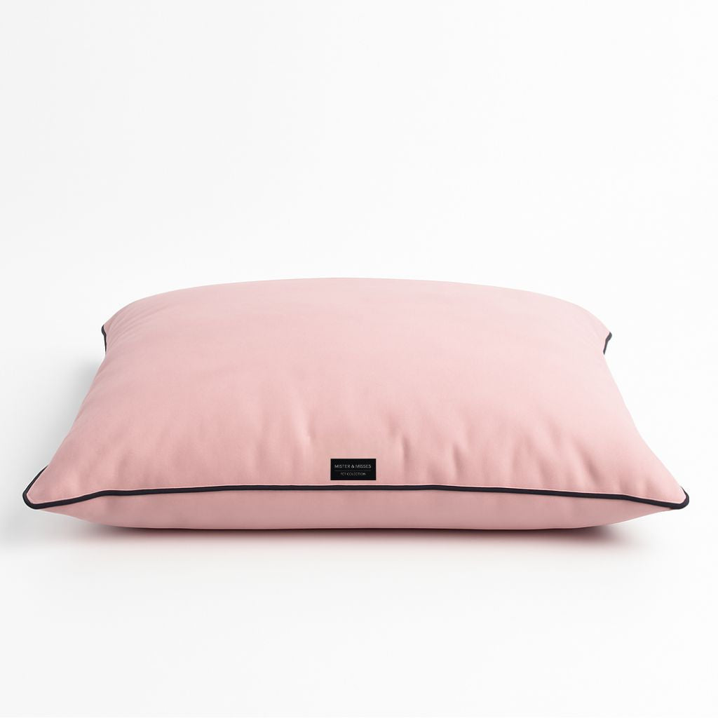 CAMA PARA PERRO + JUGUETE