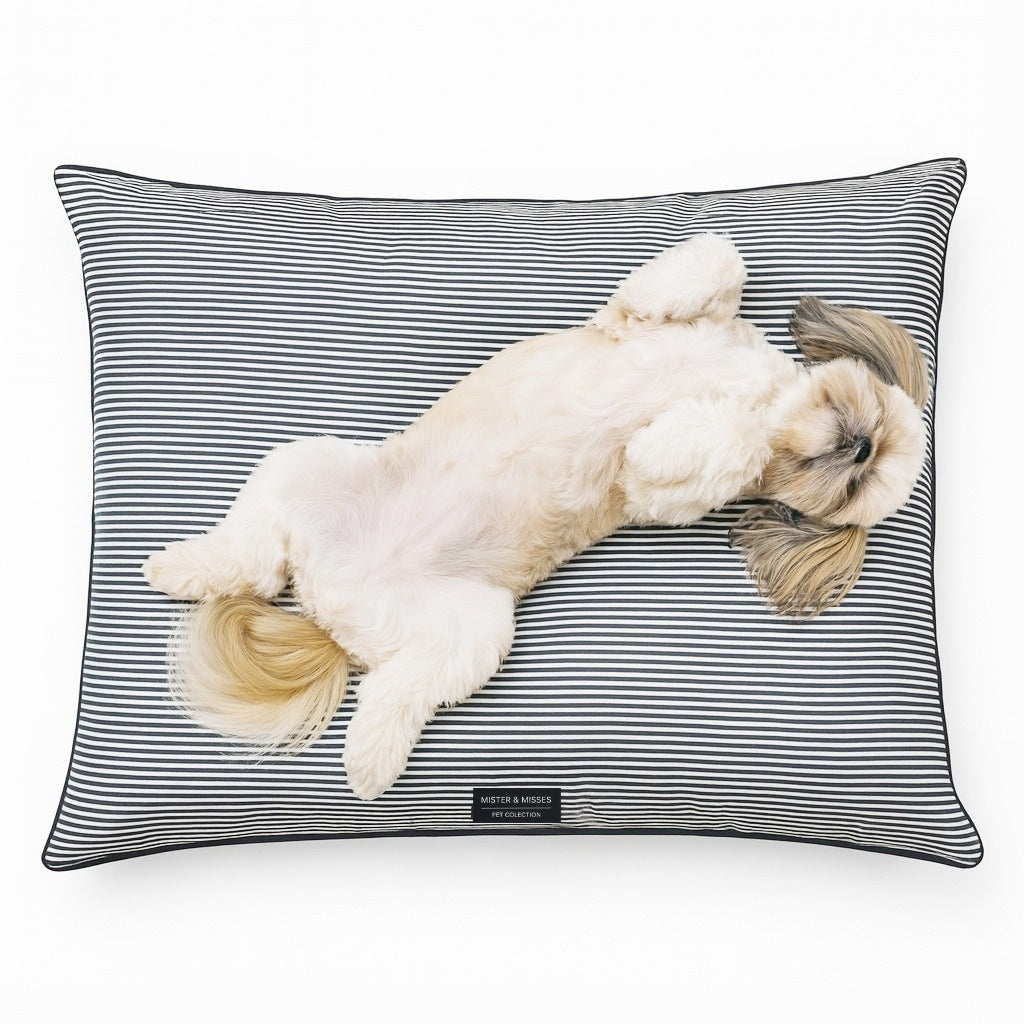 CAMA PARA PERRO LISTADA + JUGUETE