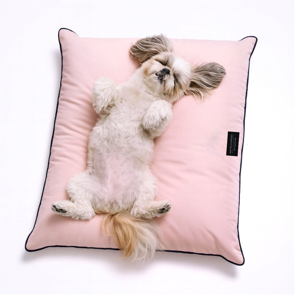 CAMA PARA PERRO + JUGUETE