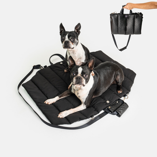 Cama portátil para perro, se transforma en cartera de fácil traslado de la marca Mister And Misses Pet 