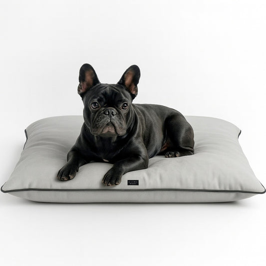 CAMA PARA PERRO GREY + JUGUETE