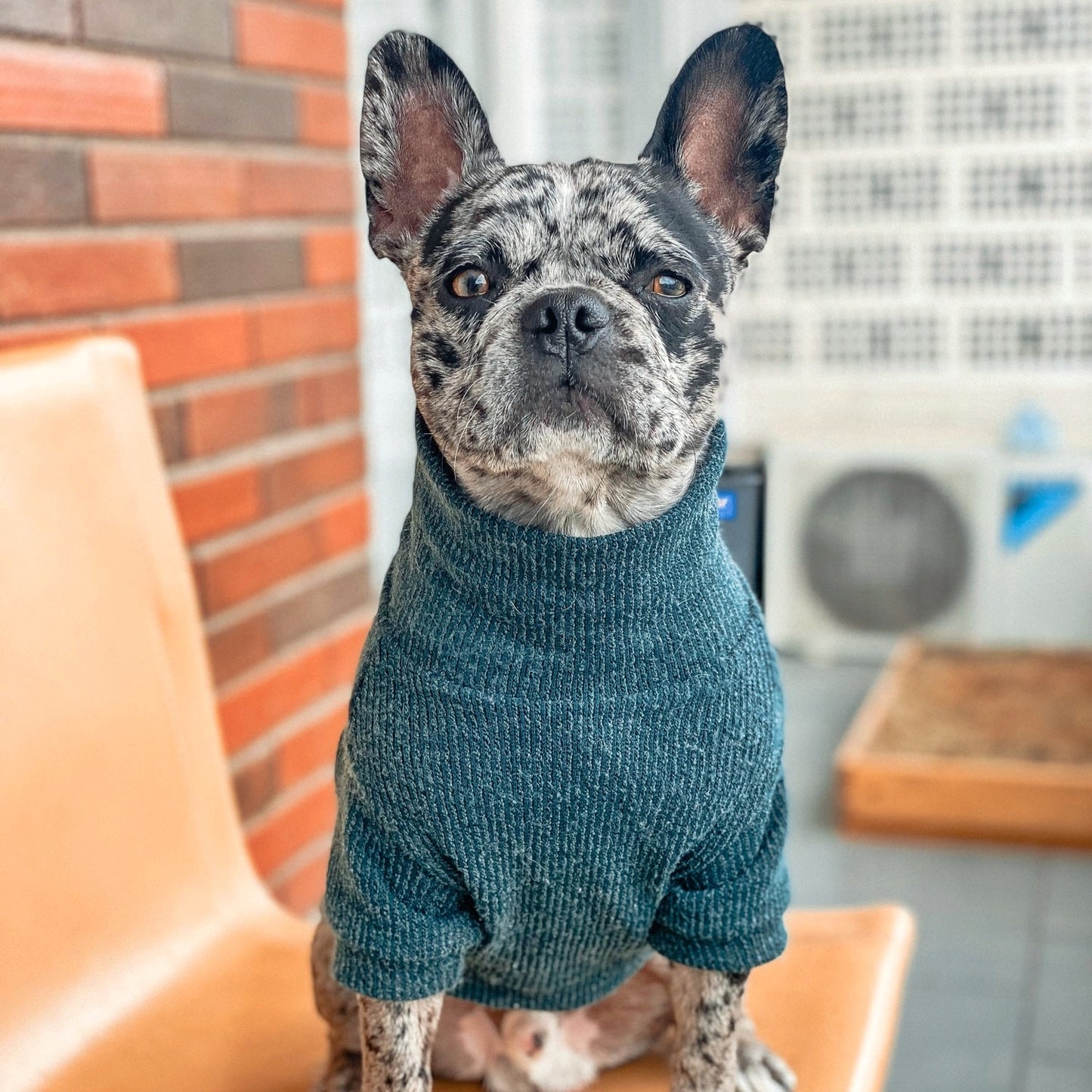 SWEATER CUELLO ALTO VERDE