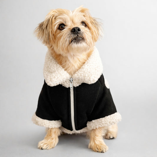 CHAQUETA PARA PERRO SUEDE NEGRO