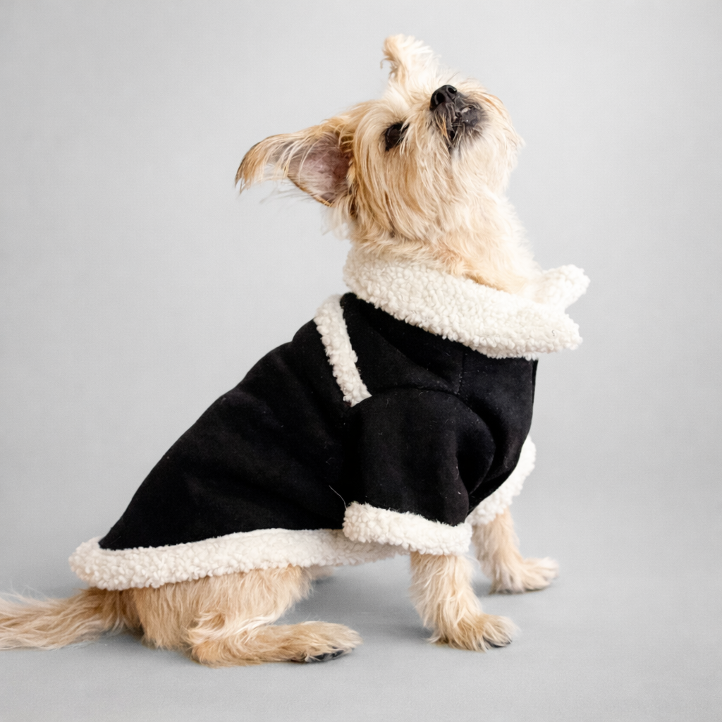 CHAQUETA PARA PERRO SUEDE NEGRO