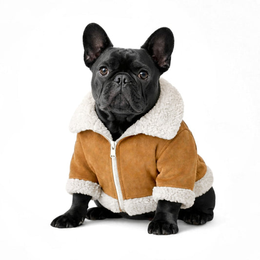 CHAQUETA PARA PERRO SUEDE CAMEL