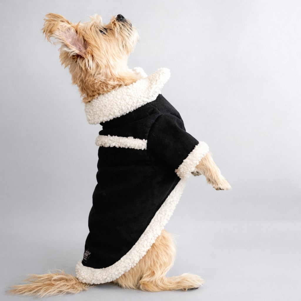 CHAQUETA PARA PERRO SUEDE NEGRO