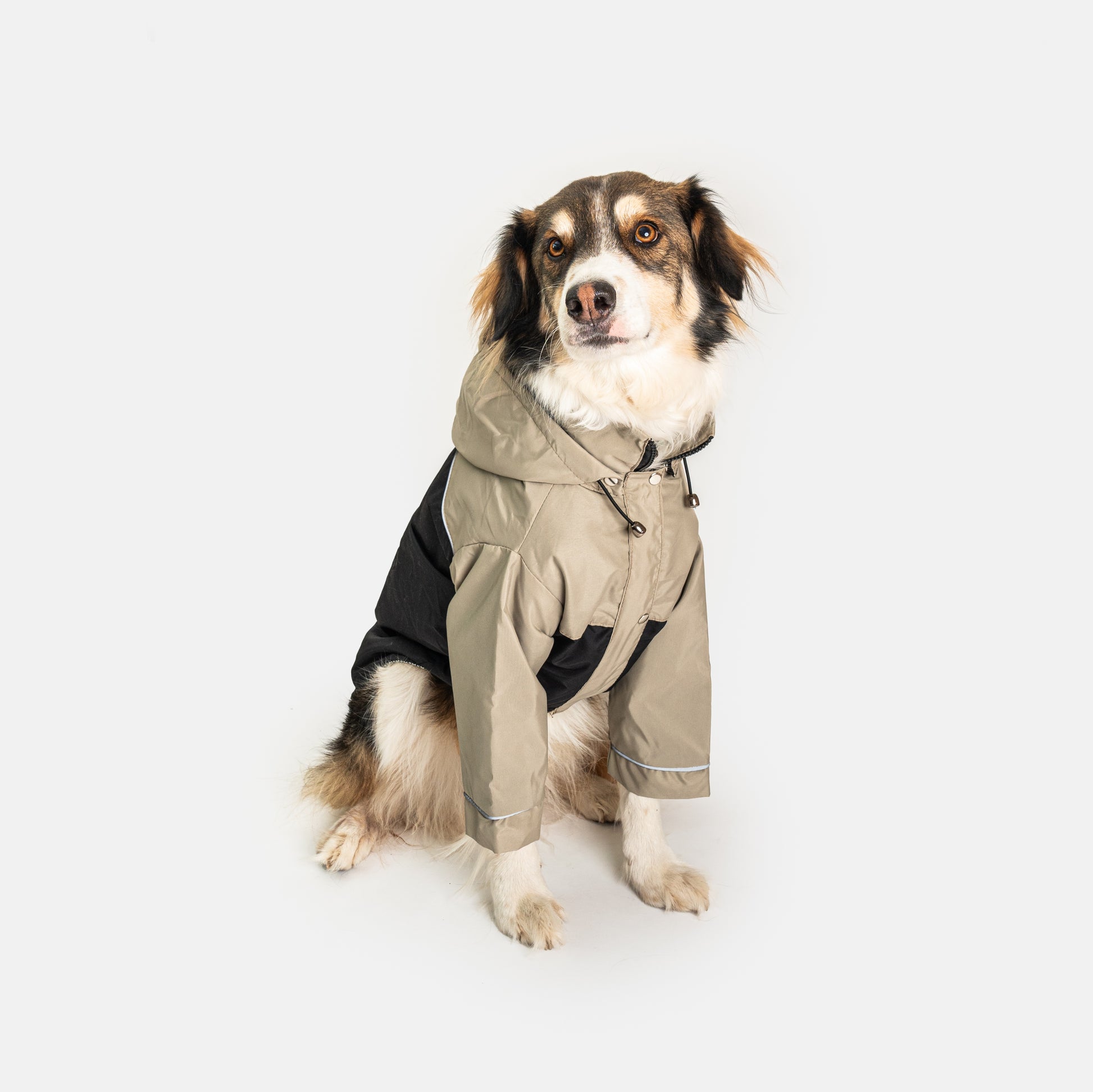 Cortaviento e impermeable para perro,  Color beige y negro de la colección de MIster And Misses Pet