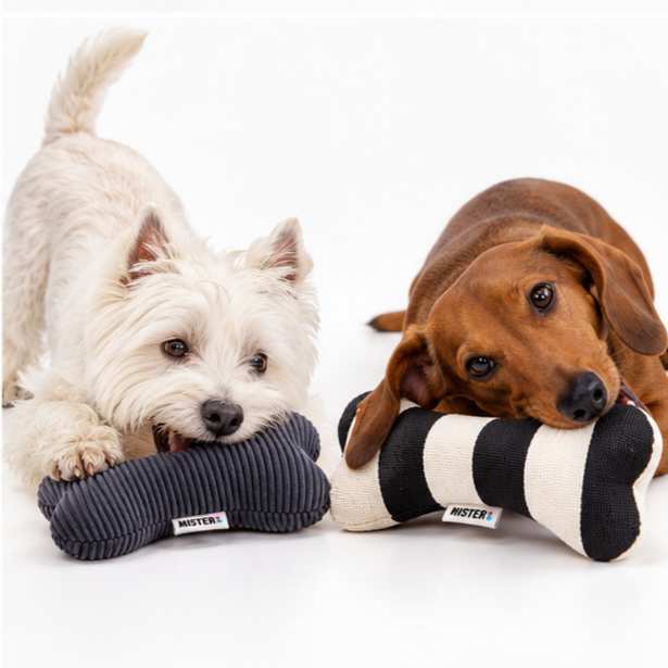 PACK DE JUGUETE PARA PERRO CLASICO