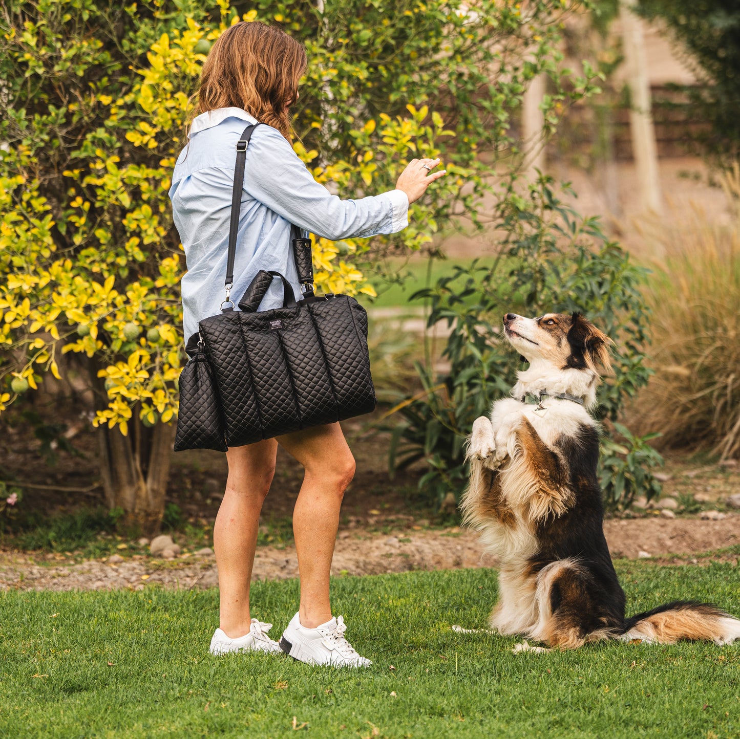 Cama portátil para perro, se transforma en cartera de fácil traslado de la marca Mister And Misses Pet 