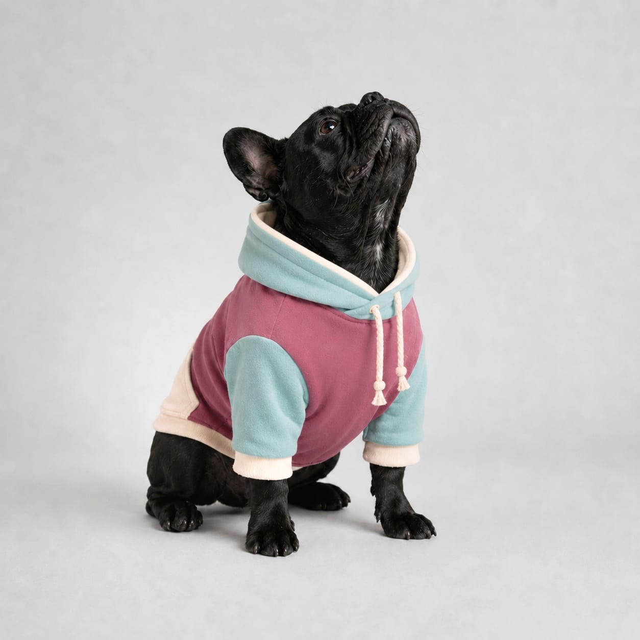 POLERON MASCOTA FIT CUELLO ALTO
