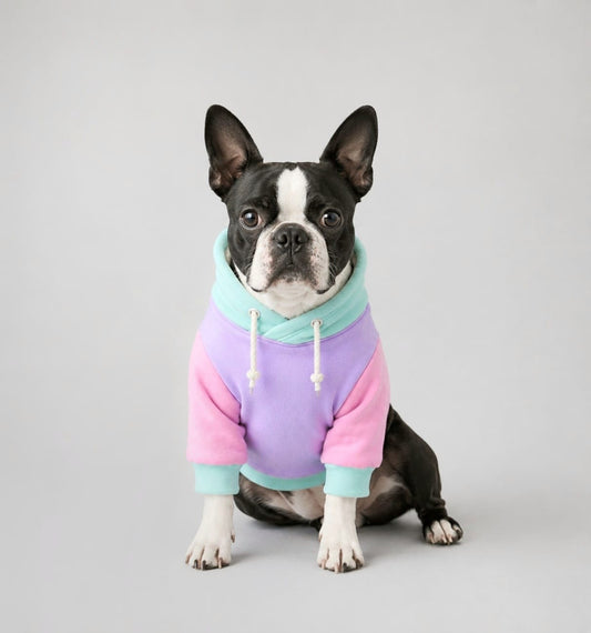 POLERON MASCOTA  CANDY